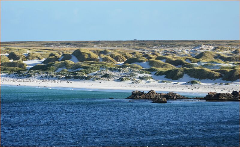 Falklands beach2